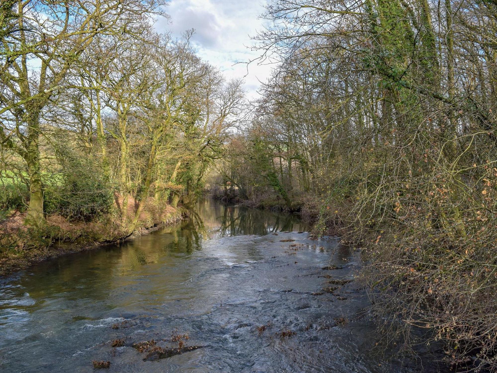 Cothi Cottage Llanfynydd ภายนอก รูปภาพ